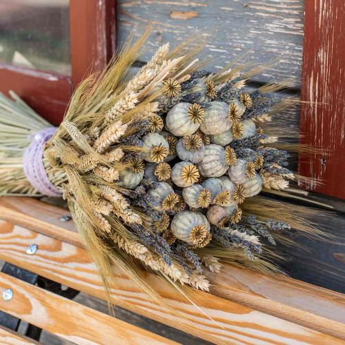 Floristik24 Suszone kapsułki makowe naturalne suszone kwiaty pęczek deco mak 90g