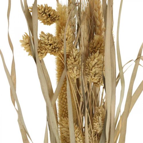Floristik24 Suszone trawy i zboża naturalne w pęczku suszony bukiet 48cm