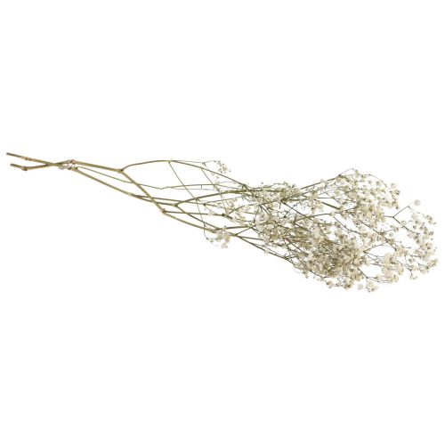 Floristik24 Kwiaty suszone Gypsophila Gypsophila White 58cm 7g