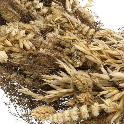 Floristik24 Wianek dekoracyjny suszone kwiaty duże zboża i trawa natura Ø50cm
