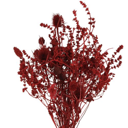 Produkt Bukiet suszonych kwiatów Ozdoba z ostu w kolorze wina czerwonego 40cm 80g