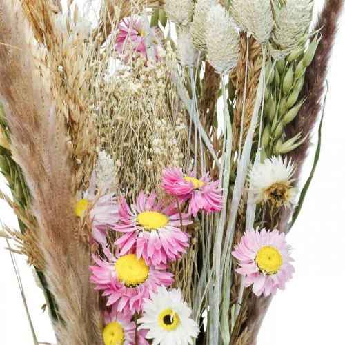 Floristik24 Bukiet suszonych kwiatów trawy Phalaris słomiane kwiaty różowe 60cm 110g