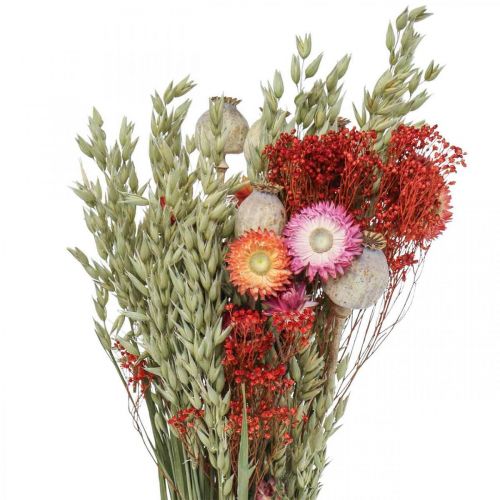 Bukiet suszonych kwiatów Bukiet kwiatów polnych Czerwony W50cm 150g