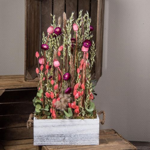 Produkt Bukiet suszonych kwiatów kwiaty słomy ziarno maku kapsułki turzyca Phalaris 55cm