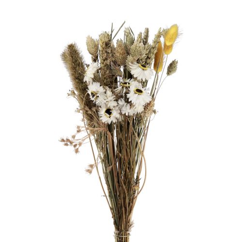 Floristik24 Bukiet suszonych kwiatów słomianych kwiatów Phalaris biało-żółty 30cm