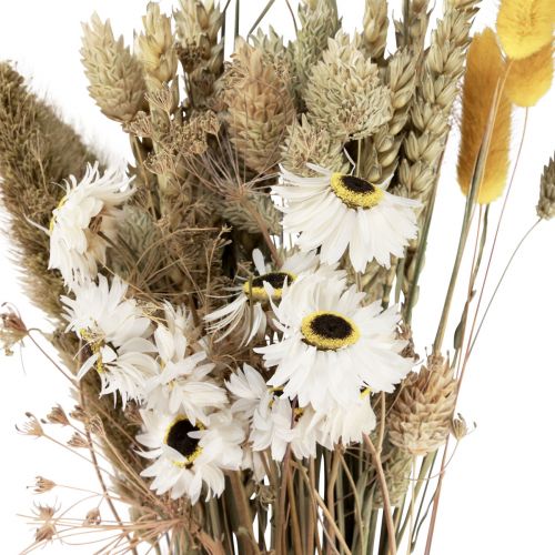 Produkt Bukiet suszonych kwiatów słomianych kwiatów Phalaris biało-żółty 30cm