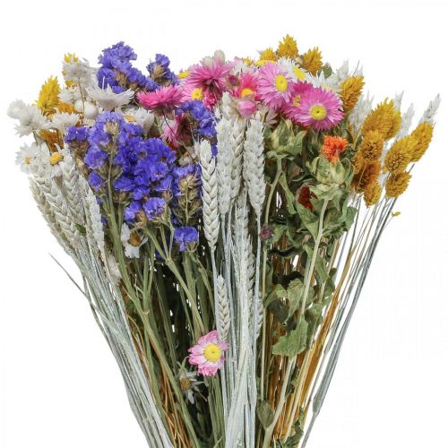 Floristik24 Bukiet suszonych kwiatów kwiaty słomkowe lawenda plażowa Phalaris ziarno 55cm