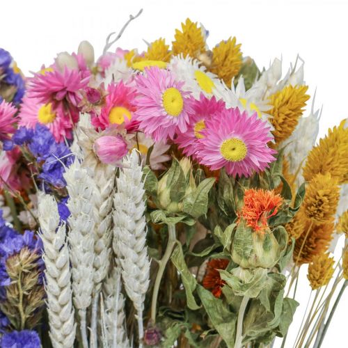 Floristik24 Bukiet suszonych kwiatów kwiaty słomkowe lawenda plażowa Phalaris ziarno 55cm