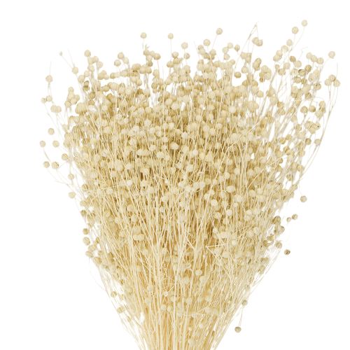 Floristik24 Len suszony trawiasty suszony naturalnie bielony 50-55cm 180g