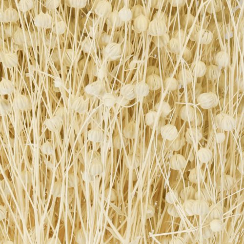 Produkt Len suszony trawiasty suszony naturalnie bielony 50-55cm 180g