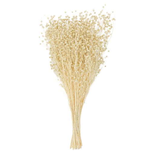 Produkt Len suszony trawiasty suszony naturalnie bielony 50-55cm 180g