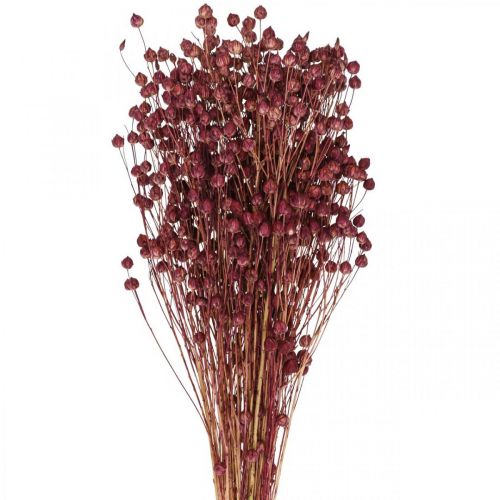 Produkt Sucha trawa suszony len stary róż wys. 50–55cm 80g