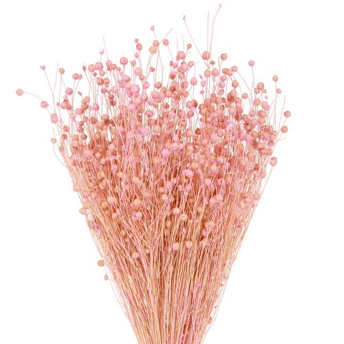 Produkt Suszony len suszony trawa jasnoróżowy wys. 50–55cm 80g