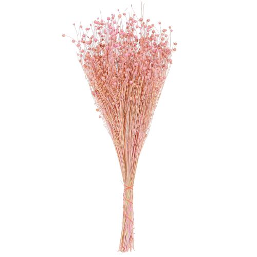 Produkt Suszony len suszony trawa jasnoróżowy wys. 50–55cm 80g