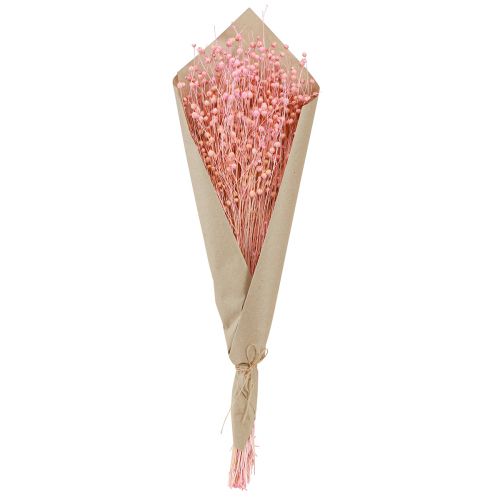 Produkt Suszony len suszony trawa jasnoróżowy wys. 50–55cm 80g