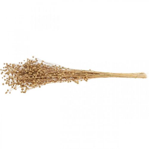 Floristik24 Suszona Trawa Suszony Len Naturalny W50-55cm 80g