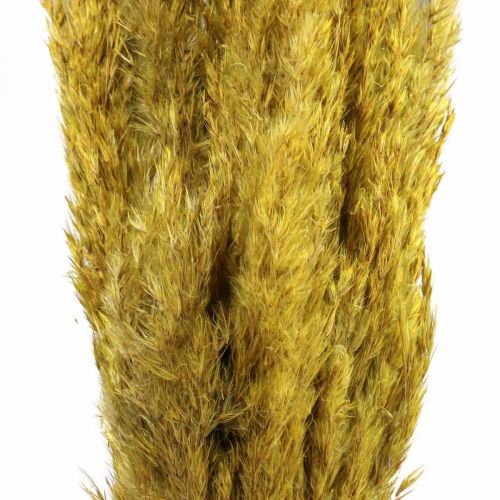 Produkt Trawa dekoracyjna z suchej trawy suszona żółta 70cm 10 szt