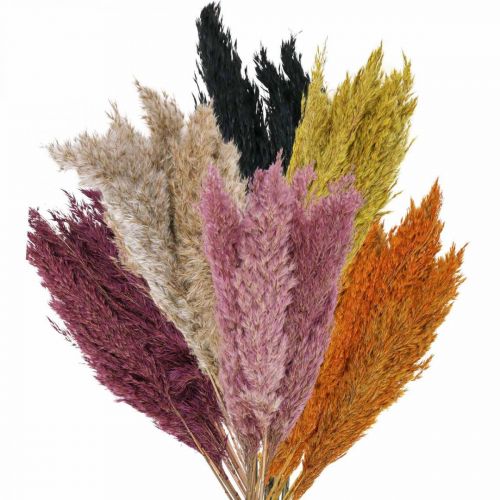Produkt Trawa turzycowa suszona różne kolory 70cm 10 szt