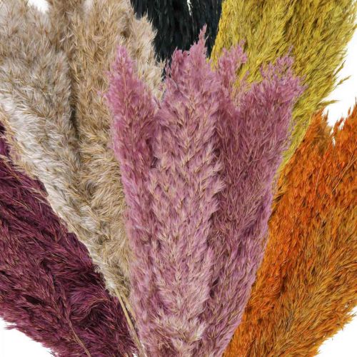 Produkt Trawa turzycowa suszona różne kolory 70cm 10 szt