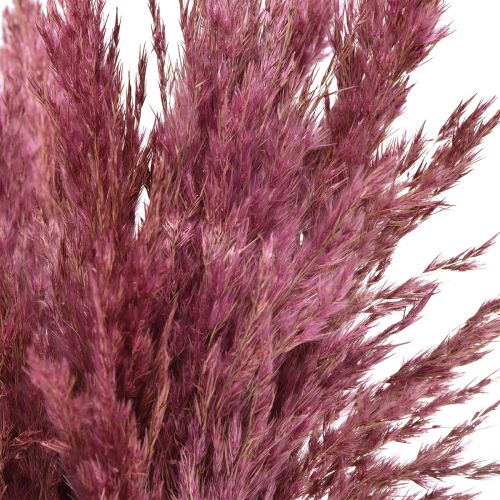 Produkt Trawa sucha turzyca suszona trawa dekoracyjna stary róż 75cm 10 sztuk