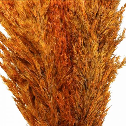 Produkt Trawa sucha turzyca suszona trawa dekoracyjna pomarańczowa 70cm 10 szt