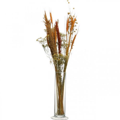 Floristik24 Suszone kwiaty DIY Zestaw do suszenia bukietu Pomarańcza 60cm