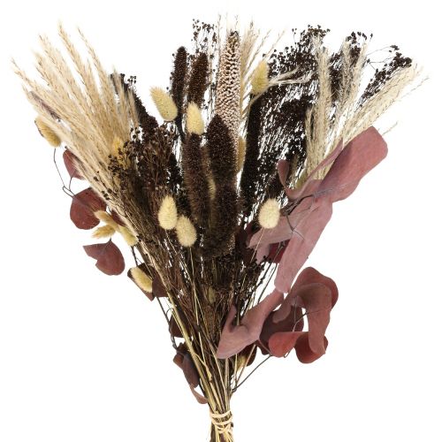 Floristik24 Suchy bukiet eukaliptusowy bukiet suchej trawy 60cm 120g