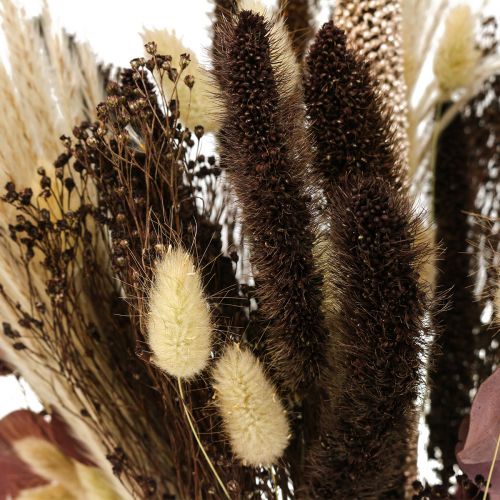 Floristik24 Suchy bukiet eukaliptusowy bukiet suchej trawy 60cm 120g
