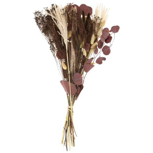 Floristik24 Suchy bukiet eukaliptusowy bukiet suchej trawy 60cm 120g