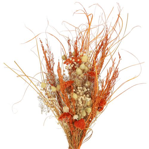 Floristik24 Bukiet suszony oset krwawnik pomarańczowy bielony 55cm 150g