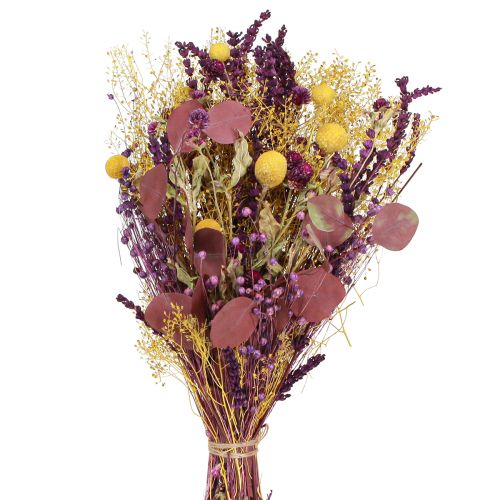 Produkt Bukiet suchy żółty fioletowo-zielony eukaliptusowy craspedia 53cm 150g