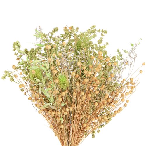 Floristik24 Suchy bukiet szczeci owies len miętowy naturalny biały 40cm 80g