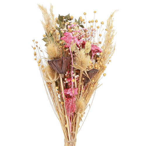 Floristik24 Bukiet suszony lotos len oset różowy krem 50cm 100g