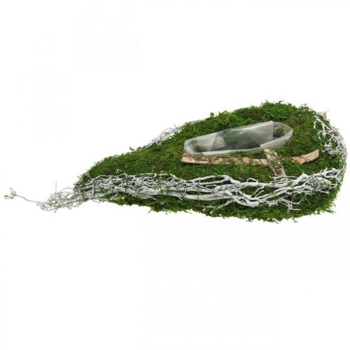 Floristik24 Doniczka z kropli mech, winorośl pamiątkowa florystyka 40x20cm