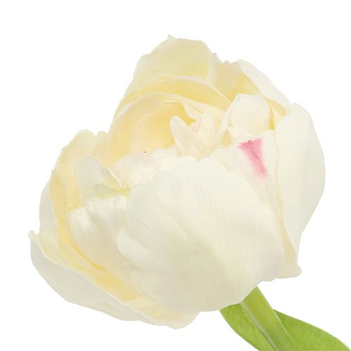 Produkt Krem tulipanowy 37cm 6szt