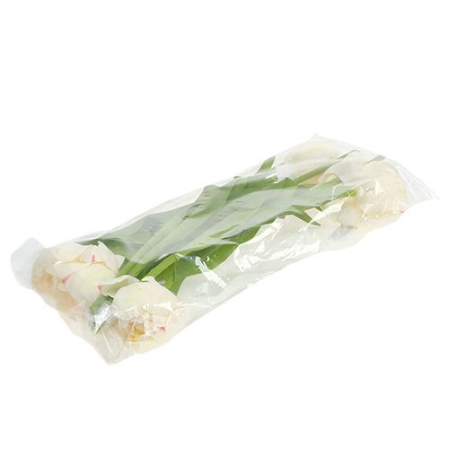 Floristik24 Krem tulipanowy 37cm 6szt