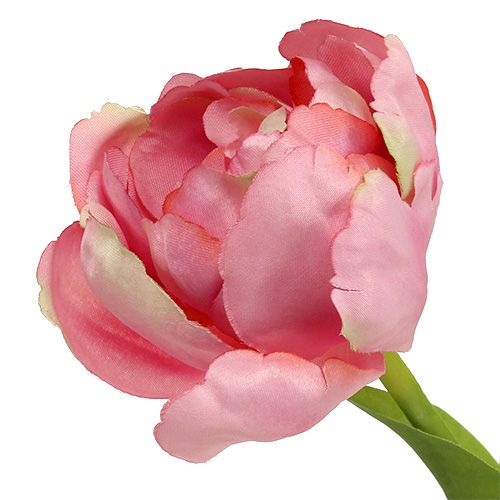 Floristik24 Tulipan różowy 37cm 6szt