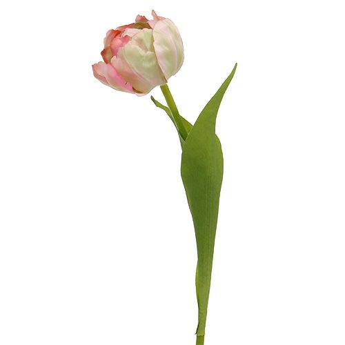 Floristik24 Tulipan różowy, zielony 37cm 6szt