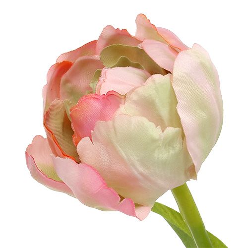 Floristik24 Tulipan różowy, zielony 37cm 6szt