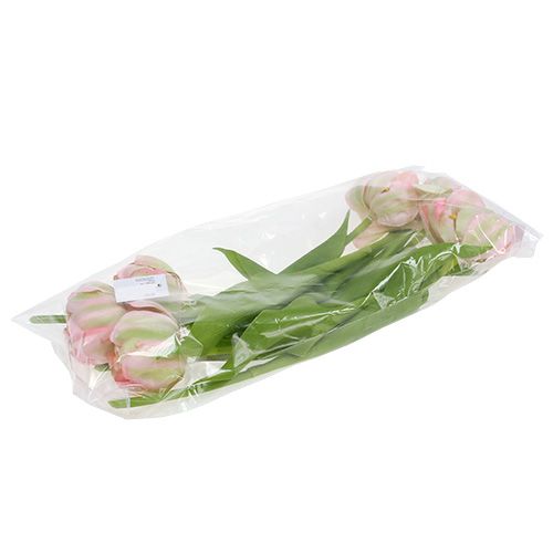 Floristik24 Tulipan różowy, zielony 37cm 6szt