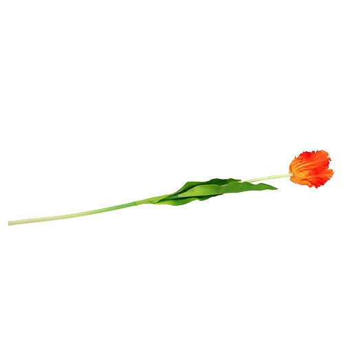 Floristik24 Tulipan Pomarańczowy 70cm