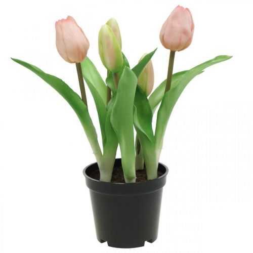 Floristik24 Tulipan różowy, zielony w doniczce Sztuczna roślina doniczkowa dekoracyjna tulipan wys.23cm