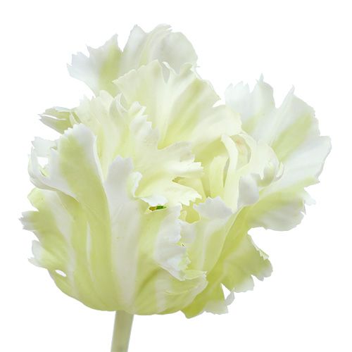 Produkt Tulipan sztuczny biały 70cm
