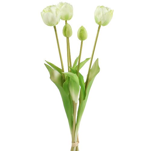 Floristik24 Tulipany Kremowe Prawdziwe Dotykowe Dekoracje Kwiatowe L43,5cm 5szt