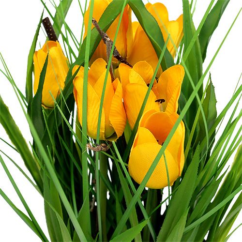 Floristik24 Tulipany w żółtej doniczce 30cm
