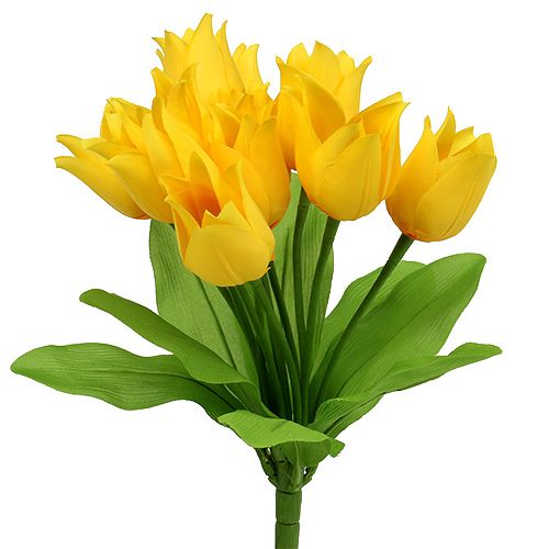 Floristik24 Tulipanowiec Żółty W30cm