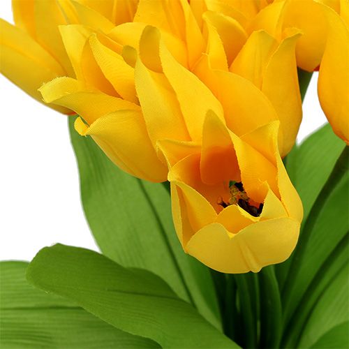 Floristik24 Tulipanowiec Żółty W30cm