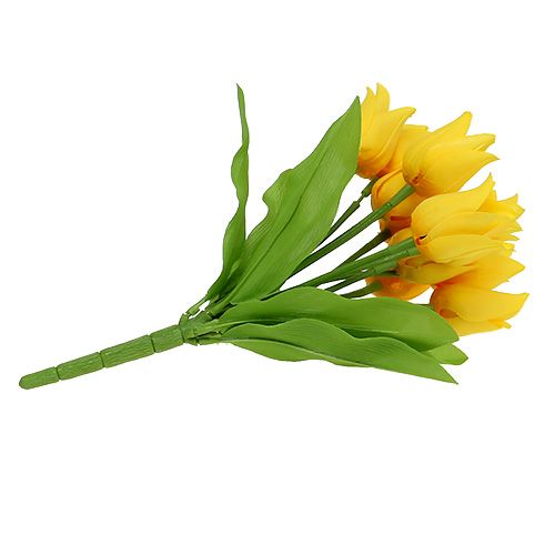 Floristik24 Tulipanowiec Żółty W30cm