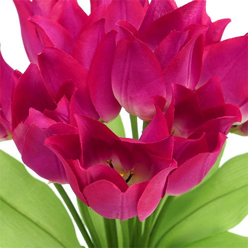 Floristik24 Tulipanowy krzew różowy L 30cm