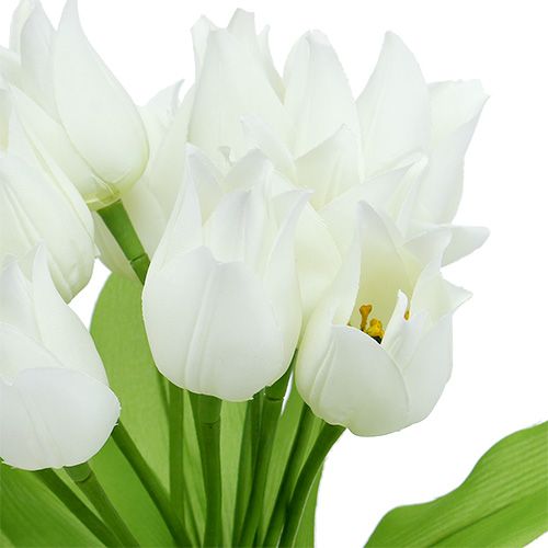 Floristik24 Tulipan Krzak Biały 30cm